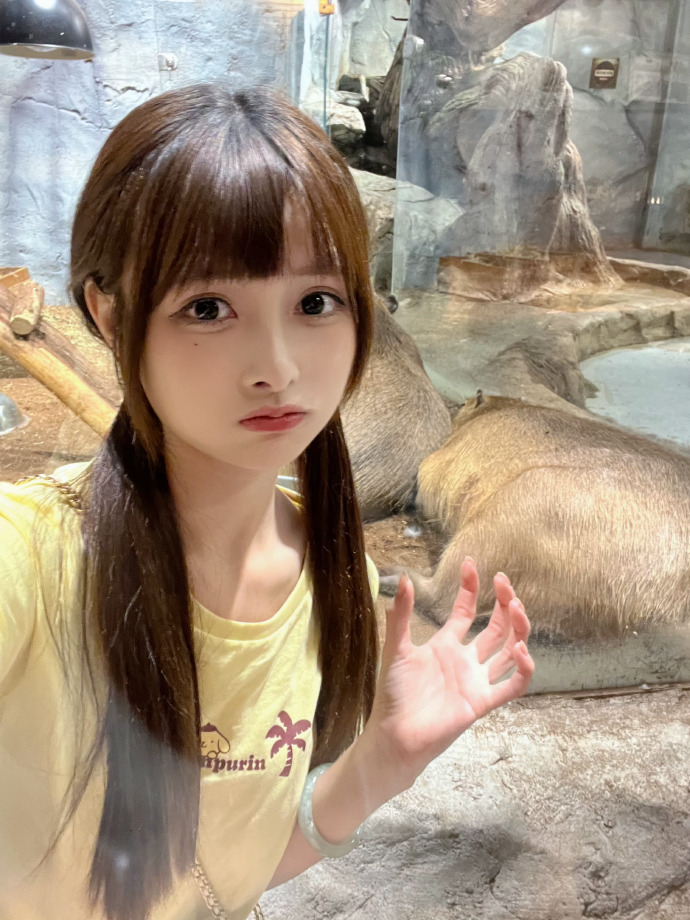 甄嬛传